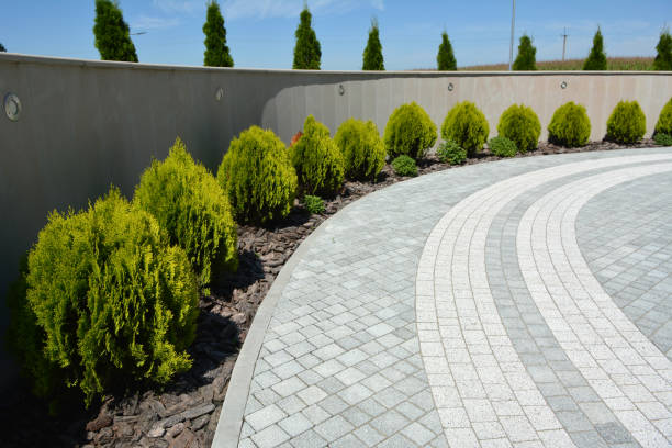 Best Cobblestone Driveway Paving in Bull Valley, IL
